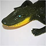 FHUILI Simulazione Alligator Modello - Modello Simulazione degli Animali Simulazione Yangtze Alligator Modello - PVC Biologia Modello insegnamento - per ...