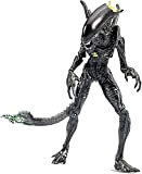 Figura Blowout Alien Warrior Alien vs Predator 10cm