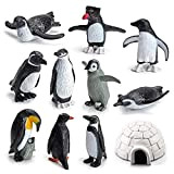 Figure Pinguino, 11 Pezzi Statuine Di Animali Polari, Mini Pinguino Giocattolo di Plastica Modello Pinguino Oceano Animale Figura Modello per ...