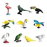 FLORMOON 10 Pezzi Giocattolo Piccolo Uccello Realistico Bird Toys Figura Animale Giocattoli educativi precoci Progetto di scienze Natale Regalo di ...
