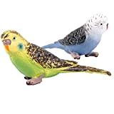 FLORMOON Figure di Uccelli Realistico Pappagallo Verde Set di Giocattoli per Animali simulata Giocattoli di Modelli Animali in plastica Imparare ...