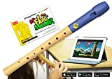 Flute Master (software) con flauto dolce, in acero di montagna, Blu/naturale – legno/plastica.