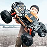 FMOPQ Boy Toy Rc Cars 1： 10 Scale Crawler Truck Rechargeable Monster Truck Alloy Drift Race off Road RC 4WD ...