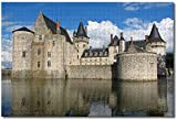 Francia Castello Sully Sur Loire Puzzle per adulti Bambini 1000 pezzi Gioco di puzzle in legno per regali Decorazione domestica ...