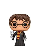Funko Pop! Harry Potter (Robes And Hedwig) #31