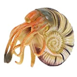 Garneck Mare Nautilus Nautilus Shell Decor Nautilus Figürel Ornament Mare Animale Giocattolo Statua Nautica Ornamento