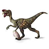 Generico Giocattolo Oviraptor - Modello Giocattolo di Dinosauro Realistico - Oviraptorosaurs Figure Toy, Oviraptor Collection Figurine, Dinosaur Educational Toys for ...