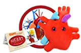 GIANTmicrobes - Heart (Heart Organ) by Giant Microbes