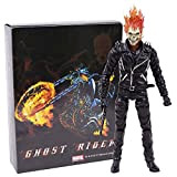 Giocattolo di Action Ghost PVC Rider Action Figure da Collezione Modello Modello 23cm Giocattolo Action Figure (Color : Boxed)