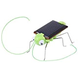 Giocattolo Solare dell'insetto, Mini Robot a Energia Solare Alimentato a Energia Solare 1 Pezzi Scarafaggio/Cavalletta Simulazione Educativa Giocattolo per Bambini ...