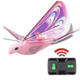 Gmuret Mini Drone Bird Shape, Giocattoli elettronici per Uccelli telecomandati con luci a LED, Regali di aeroplani telecomandati per Bambini ...