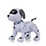 Goolsky LE Neng Toys K16A Animali Domestici elettronici Robot Dog Stunt Dog Voice Command Programmabile Touch-Sense Music Song Toy per ...