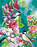 Grebesty, kit per pittura a olio fai da te per adulti, pittura numerica su tela per canto, uccelli e fiori ...