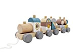 GREEN RHINO Treno giocattolo in legno "ADVENTURE", 16 pezzi, lunghezza ca. 34 cm, per bambini dai 12 mesi, in confezione ...