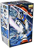 Gundam RX-78-2 Gundam Ver 2.0 MG 1/100 Scale [Toy] (japan import)