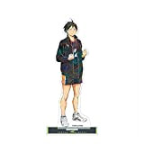 Haikyuu Figura in acrilico Shoyo Hinata/Tobio Kageyama Figura Haikyuu Figura Haikyuu Merch Anime Figura per Haikyuu, Tipo 10., 15 cm