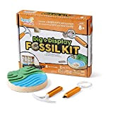 hand2mind 93418 DIG & Display Fossil KIT, Multicolore