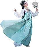 Hanfu - Gonna cinese Hanfu da donna, stile cinese, tradizionale, stile Hanfu, per spettacoli di palcoscenico, colore: grigio