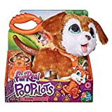 Hasbro FurReal, Poopalots Cagnolino (Peluche Cagnolino interattivo per Bambini da 4 Anni in su con Accessori), beice