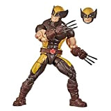 Hasbro Marvel Legends Series X-Men, action figure di Wolverine da 15 cm da collezione con dettagli eccezionali e accessori, per ...