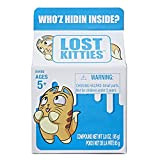Hasbro NOVITA Lost Kitties Blind Box One Random Box- IMMAGINE DELLA CONFEZIONE VARIABILE DAL FORNITORE