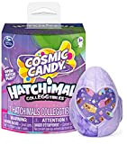 Hatchimals CollEGGtibles, Cosmic Candy - Confezione da 1, per bambini dai 5 anni in su (gli stili possono variare)