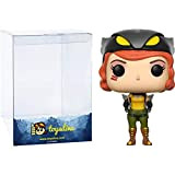 Hawkgirl: Funk o Pop! Heroes Vinyl Figure Bundle with 1 Compatible 'ToysDiva' Graphic Protector (223 - 22892 - B)