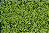 Heki Mikroflor-Dimensioni: 28 x 14 cm, Colore: Verde Chiaro, 1600