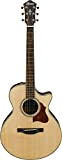 Ibanez AE205JR-OPN Open Pore Natural -