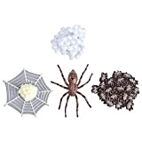 ibasenice Spider Life Cycle Figures Insect Life Cycle Stages Toys Grollo di Crescita Modello Modello di Insetti di Plastica Figurine ...