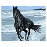 JAGETRADE Beach Black Horse pittura fai da te con numeri, arte moderna da parete per bambini