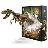 JamBer Tyrannosaurus Rex Dinosaur Toy Skeleton Model Archaeological Excavation Dinosaur Kit Kids Birthday Party Decoration