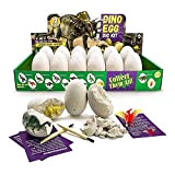 JoaSinc Kit di scavo di uova di dinosauro 12 Pezzi, Scopri 12 Diversi Dinosauri, Giocattolo Festa di Pasqua STEM Giocattoli ...