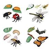 JOKFEICE 16 giocattoli per insetti, ciclo di vita di farfalla, api miele, libellula e coccinella, giocattolo educativo precoce per bambini