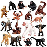 JOKFEICE Figure di Animali 16 PCS Realistico Plastica Famiglia della Scimmia Set Comprende Scimpanzé, Orangutan, Gibbon ECC. di Apprendimento Giocattoli ...