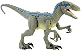 Jurassic World- Dino Rivals Velociraptor Blu Dinosauro Articolato da 37 cm, Giocattolo per Bambini 3+Anni, GCT93