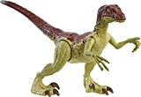 Jurassic World- Dinosauro Velociraptor Forza Bruta, Articolato con Colpo Singolo, Giocattolo per Bambini 4+Anni, GWN32