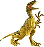 Jurrasic World Dino Rivals Velociraptor Dinosauro Articolato, Giocattolo per Bambini 3+ Anni, GCR46