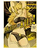 JYSHC Puzzle 1000 Pezzi Anime Giapponesi Akame Ga Kill Puzzle di Legno Giocattoli per Adulti Gioco di Decompressione Yq916Zx