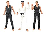 Karate Kid, Cobra Kai Action Figure Box Set SDCC 2021 Previews Exclusive, Black, One Size, FEB218594