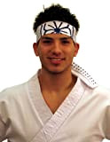 Karate Kid Mr Miyagi Daniel Movie fascia