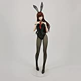 KASUMIORI ECCHI Figure - Kurisu Makise Bunny Ver. -1/4 - Figura Completa - Collezione di Figure di Anime - Figura ...