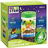 Kit terrario luminoso per bambini - Kit scientifici per attività STEM - Giocattoli educativi per bambini per ragazzi e ragazze ...