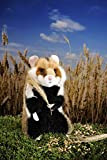 Kosen Field / European Hamster Kösen – peluche da collezione – 7230