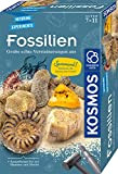 Kosmos-Set di scavo fossili Kit per esperimenti per Bambini, Colore Teal/Turquoise Green, ‎21 x 13 x 5.5 cm, 657918