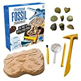 Learning Resources- Kit di Scavo dei Fossili GeoSafari Jr, EI-5340