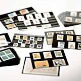 Leuchtturm Cartoncini per francobolli standard PS, 158 x 113 mm, 3 strisce trasparenti con copertina, cartone nero, confezione da 100