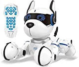 Lexibook Power Puppy - Il mio robot da addestramento - Robot con telecomando, funzione di addestramento e controllo dei gesti, ...