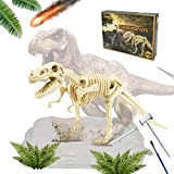 LiRiQi Kit di Scavo di Tyrannosaurus Rex, DIY Kit Scavo Dinosauri, Modello di Scheletro di Dinosauro 3D, Giocattolo Educativo, con ...
