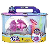 Little Live Pets Lil' Dippers acquario Splasherina - Pesci e acquario giocattolo interattivo - Prende vita magicamente nell'acqua - Nutri ...